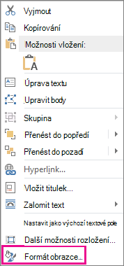 Snímek obrazovky znázorňující formát obrazce v místní nabídce.