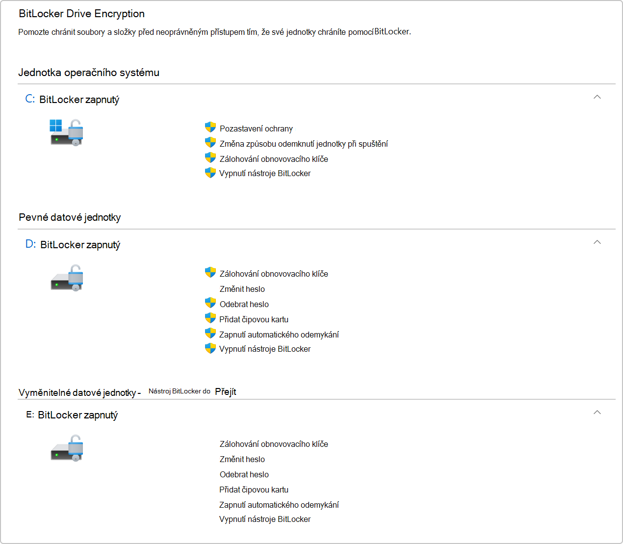 Snímek obrazovky nástroje BitLocker Drive Encryption v Ovládací panely.