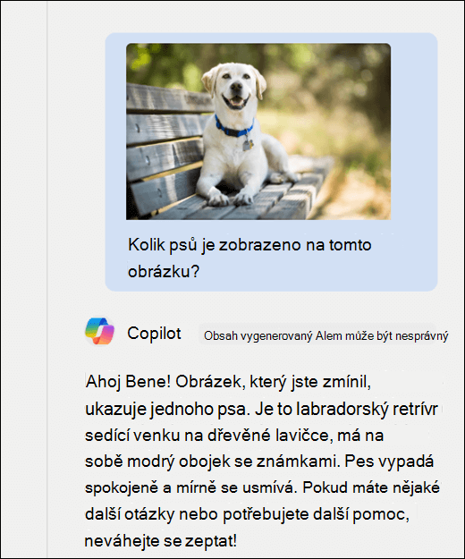 Snímek obrazovky Copilotu. Obrázek psa byl vložen spolu s výzvou Kolik psů je na tomto obrázku? Copilot přesně odpověděl a poskytl další popis obrázku.