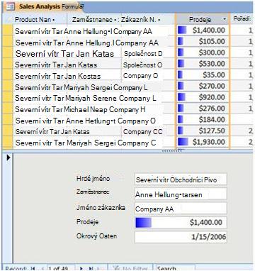 displays data bars in a split form view