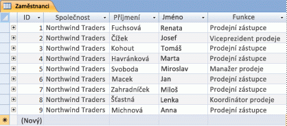 Tabulka Zaměstnanci v zobrazení datového listu
