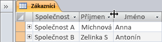 Resizing a column to best fit its text
