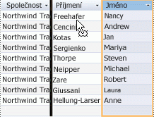 Přesunutí sloupce Jméno do pozice nejvíce vlevo
