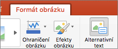 Tlačítko Alternativní text na pásu karet v PowerPointu pro Mac