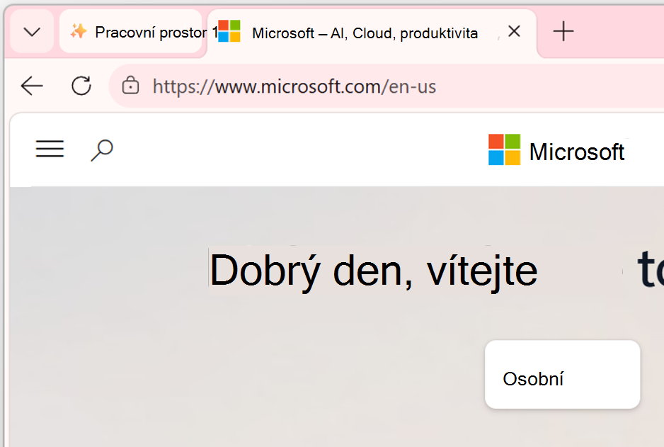 Snímek obrazovky s oknem pracovního prostoru.