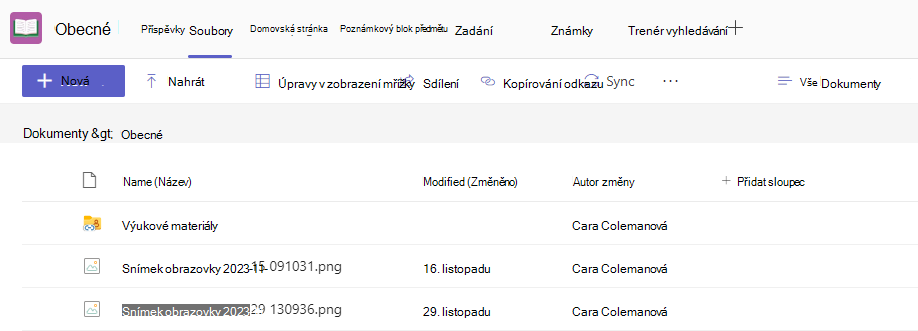 Snímek obrazovky se soubory.