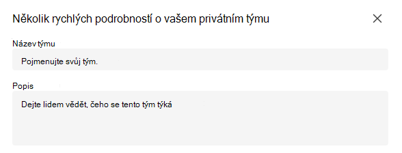 Soukromý tým