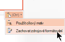 Vložení snímku a zachování zdrojového formátování