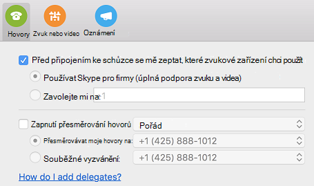 Návody přidat delegáty? Odkaz Nápověda na stránce Hovory v dialogovém okně Předvolby