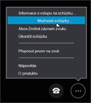 Klikněte na Další možnosti > Možnosti schůzky.