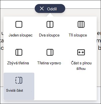 Svislý oddíl zvýrazněný v seznamu typů oddílů