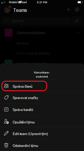 Správa členů týmu v iOS