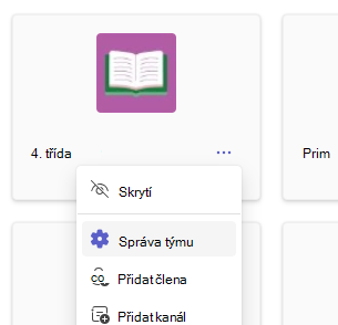 Správa týmu