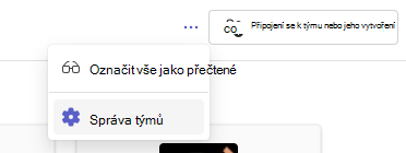 Správa týmů
