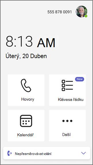 Domovská stránka kláves telefonní linky Teams