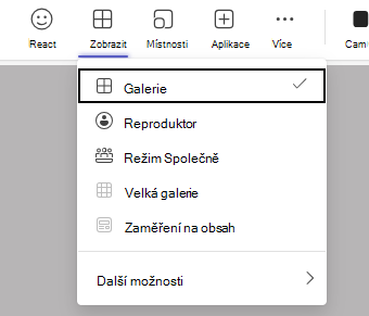 Nabídka Zobrazení schůzky s možnostmi Galerie, Reproduktor a Společně