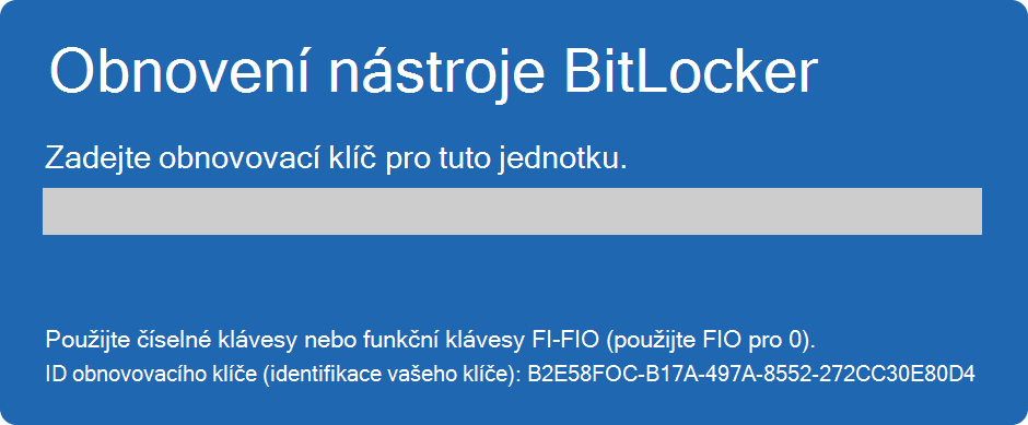 Snímek obrazovky pro obnovení nástroje BitLocker.