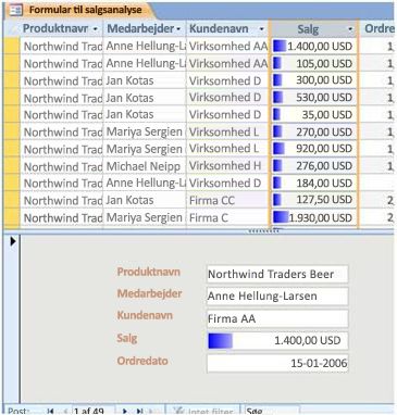 viser datasøjler i en delt formularvisning