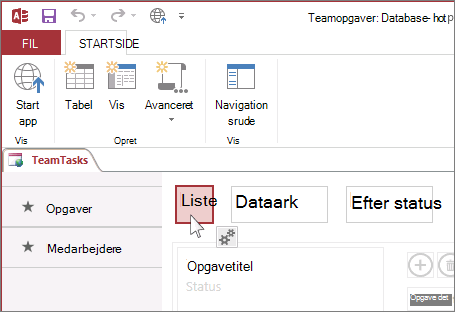 Valg af visning i Access.
