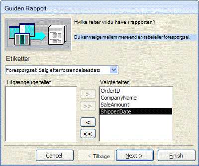 Markering af felter i guiden Rapport
