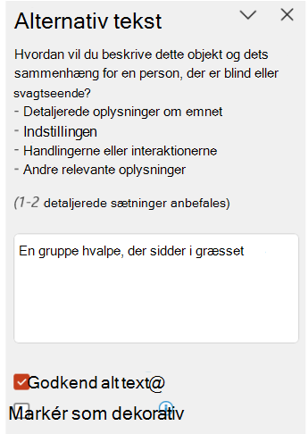 Automatisk genereret alternativ tekst, der er godkendt i ruden Alternativ tekst