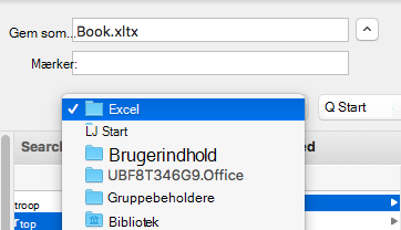 Billede, der viser dialogboksen Gem som