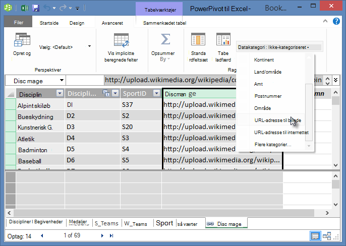 Angiv datakategorien i PowerPivot