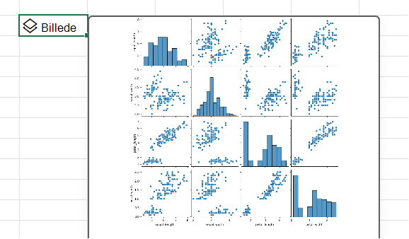 Brug Python i Excel til at oprette en parafbildning med Seaborn-biblioteket.