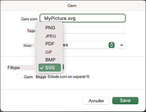 Gem som dialog i Excel 2021 til Mac med SVG-indstillingen valgt
