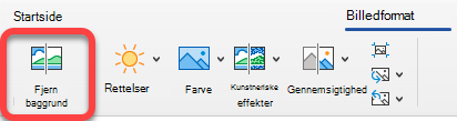 Indstillingen Fjern billede findes under fanen Billedformat i Office-apps.
