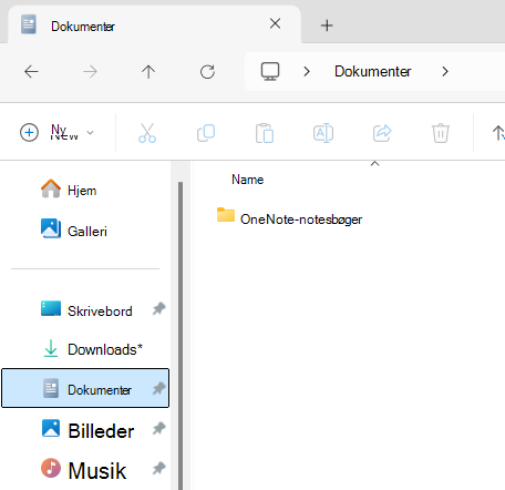 Mappen Dokumenter, der viser undermappen OneNote-notesbog.