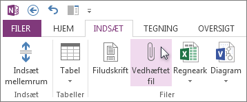 Indsæt en fil i dine noter som en vedhæftet fil