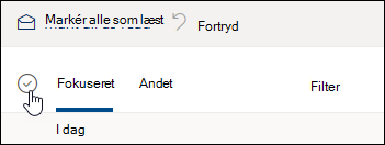 Et skærmbillede af afkrydsningsfeltet over meddelelseslisten