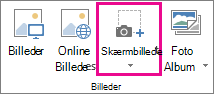 Knappen Stort skærmbillede