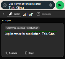 Ny Redaktør3