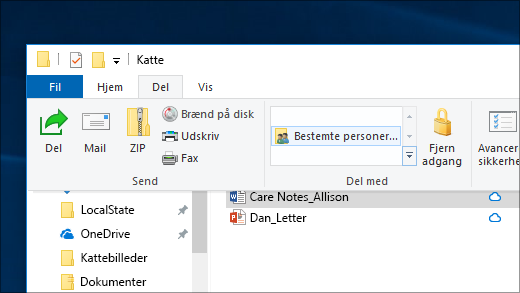 Del en fil med bestemte personer på et netværk