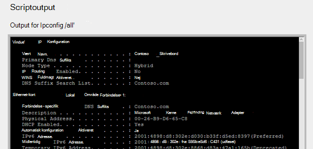 Oplysninger om scriptoutput i rapporten for det trådløse netværk