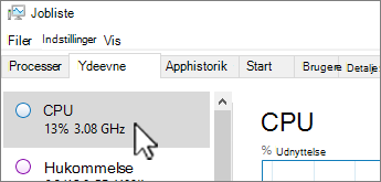 Fanen Ydeevne og CPU-oplysninger.