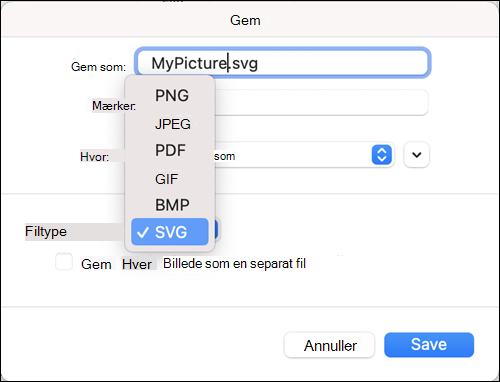 Gem som dialog i Outlook 2021 til Mac med SVG-indstillingen er valgt
