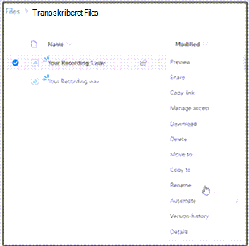 Transskriberede filer