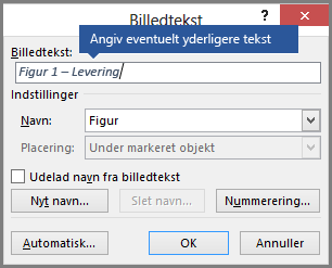Skriv en brugerdefineret tekst efter eget valg til dine billedtekster i navnefeltet.