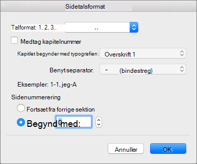 Vælg nummereringstypografi og sidetallet for første side under Sidetalsformat.