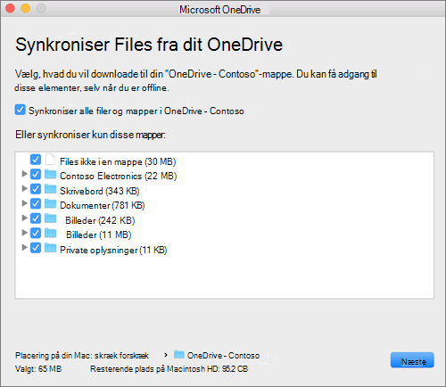 Skærmbillede af OneDrive-konfigurationsmenuen til at vælge, hvilke mapper eller filer der skal synkroniseres.