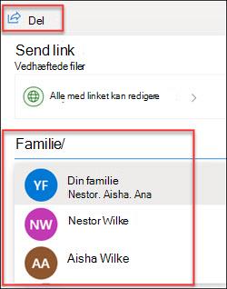 Vinduet til deling på OneDrive