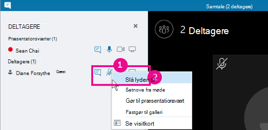 Indstillingen Slå lyden til for deltager i samtalevisning