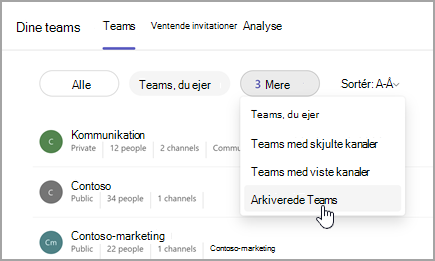 Skærmbillede af siden Dine teams med mulighed for at få vist arkiverede teams. Vælg rullemenuen ud for Teams, du ejer, for at vælge Arkiverede teams.