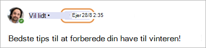 Skærmbillede, der viser badges for communityejere i Teams (gratis).