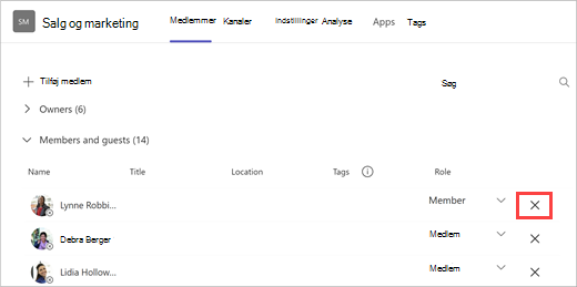 Skærmbillede af en liste over teammedlemmer med indstillinger for tilføj medlem, søg og fjern. Vælg X til højre for et teammedlemmers navn for at fjerne dem.