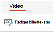 Skærmbillede, der viser knappen Rediger undertekster på fanen Video.