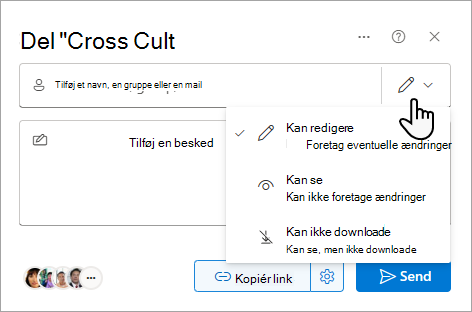 Dialogboksen Del, der viser indstillinger for en delt fil.